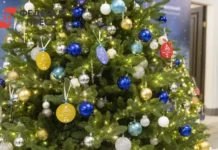 Владимир Путин и чиновники дарят детям волшебство Елки желаний! vladimir putin i chinovniki daryat detyam volshebstvo elki zhelanij-pux-su-0