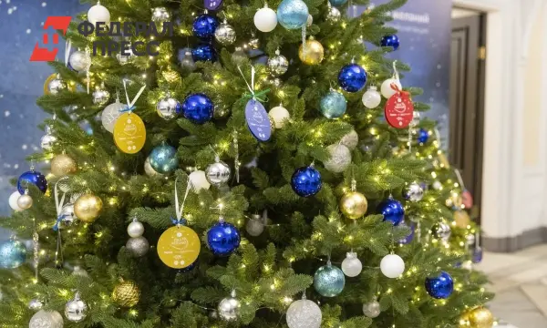 Владимир Путин и чиновники дарят детям волшебство Елки желаний!-0