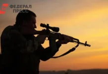 ВС России нанесли серьезный удар по ВСУ в Запорожье и Донбассе vs rossii nanesli sereznyj udar po vsu v zaporozhe i donbasse-pux-su-0