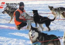 Югра увеличивает финансирование помощи приютам для бездомных собак yugra uvelichivaet finansirovanie pomoshhi priyutam dlya bezdomnyh sobak-pux-su-0