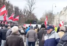 Жители Австрии в Вене поддержали нейтралитет и критикуют курс правительства и ЕС zhiteli avstrii v vene podderzhali nejtralitet i kritikuyut kurs pravitelstva i es-pux-su-0