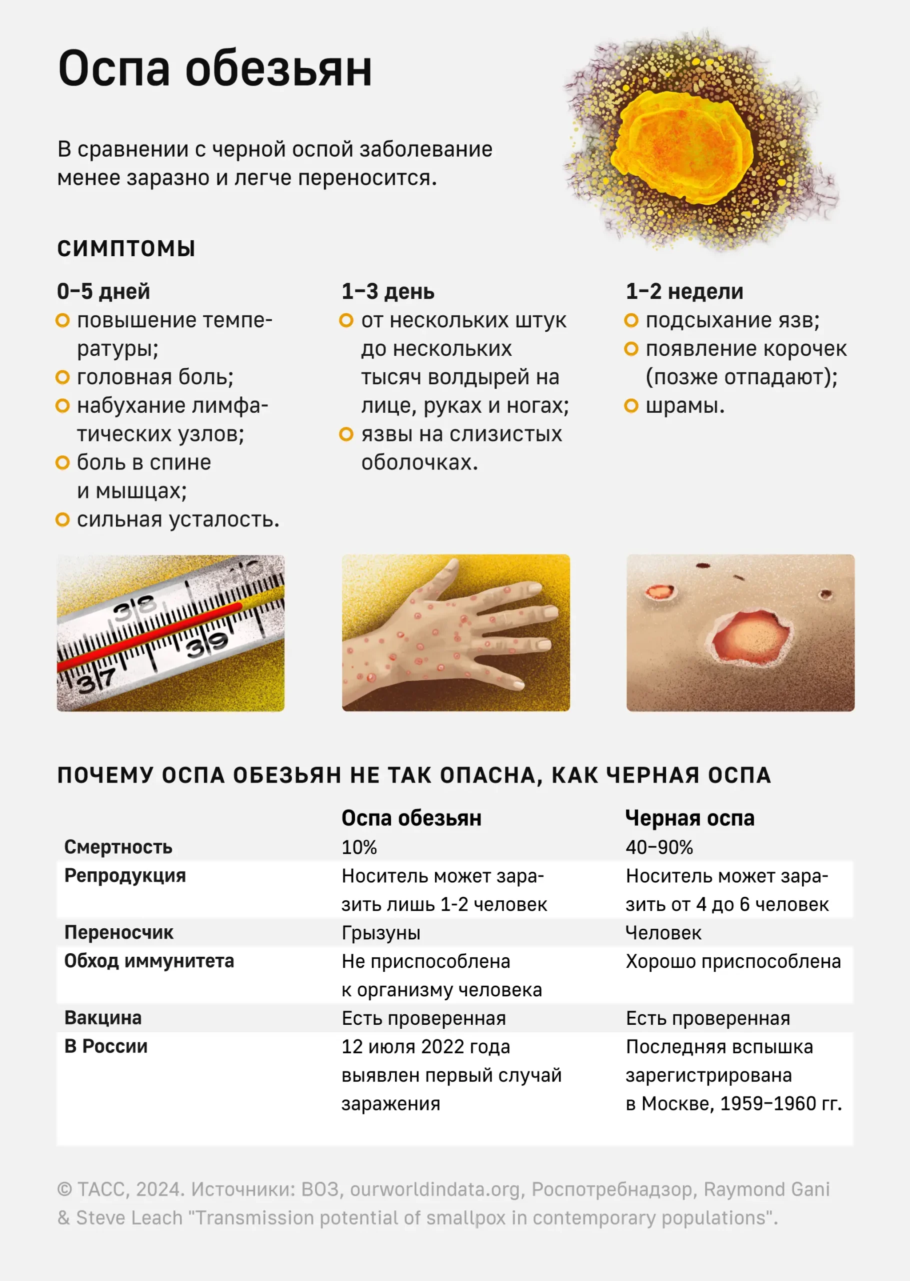 Чем оспа обезьян отличается от черной оспы