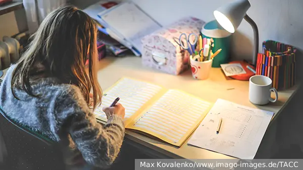 Вассерман: Создание государственного ресурса готовых домашних заданий было бы нелишним