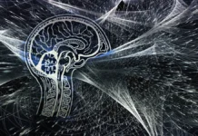 Артем Геллер и Илон Маск говорят о будущем ИИ и нейросетей artem geller i ilon mask govoryat o budushhem ii i nejrosetej-pux-su-0