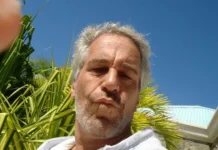 Билл и Хиллари Клинтон не станут свидетельствовать по делу Эпштейна bill i hillari klinton ne stanut svidetelstvovat po delu epshtejna-pux-su-0