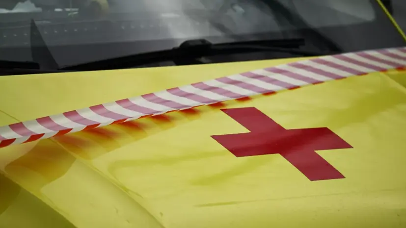 Два человека погибли при ударе дронов ВСУ по автомобилю в Брянской области