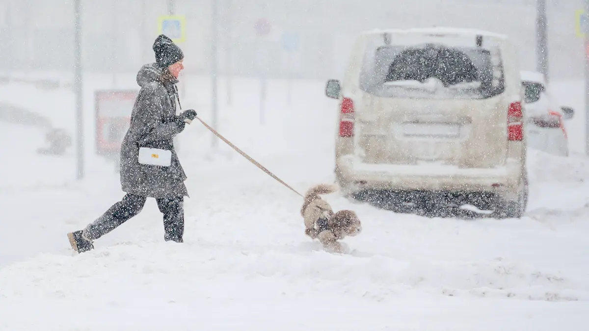 При каких погодных условиях на работе не поставят прогул