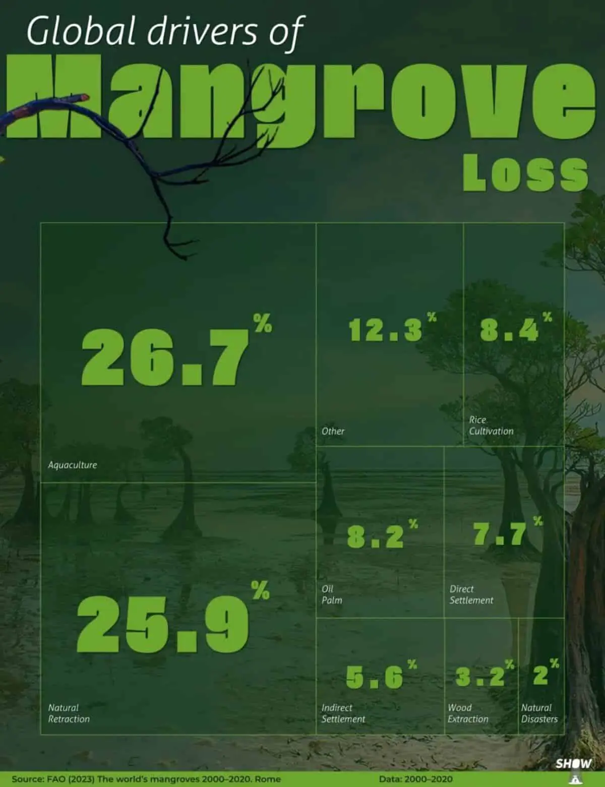 ФАО: выявление угроз для мангровых экосистем-0