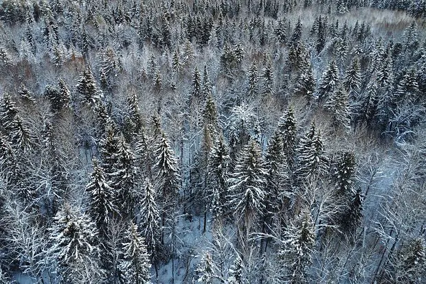 Вводная картинка