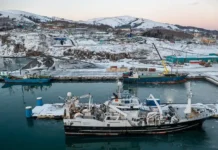 Мощные сейсмические события у Курил и Камчатки moshhnye sejsmicheskie sobytiya u kuril i kamchatki-pux-su-0