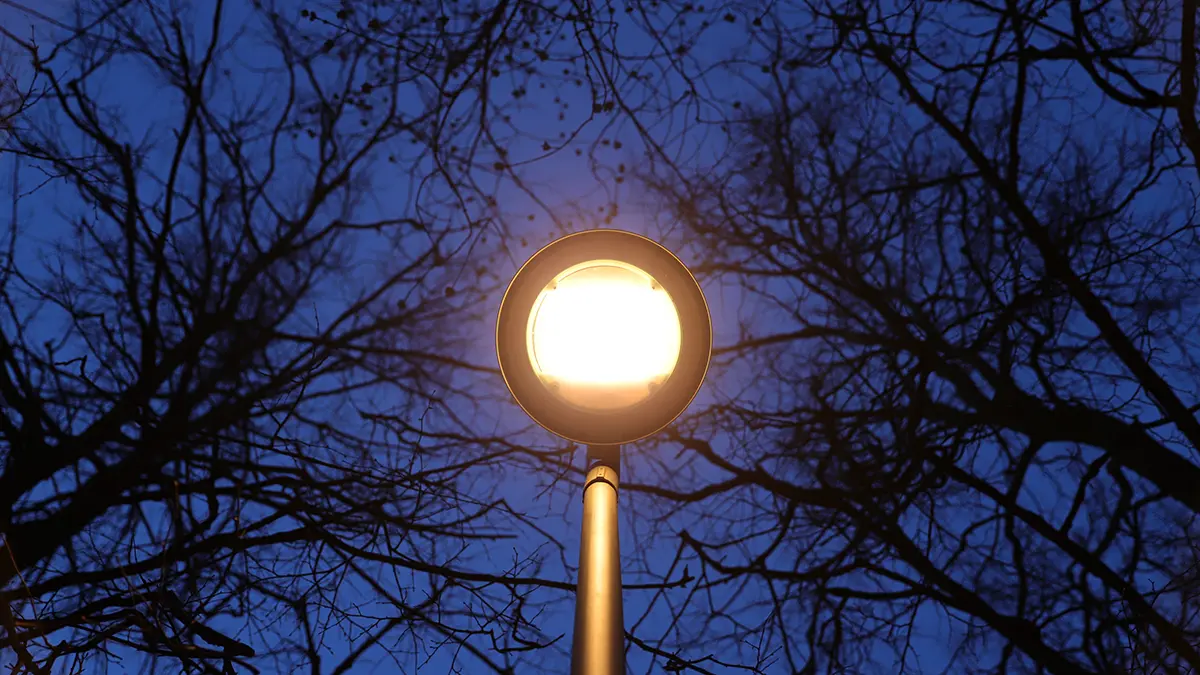 Более 26 тысяч новых фонарей установят в Москве в этом году