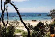 Невероятная история британского туриста в Австралии Мистери-Бей neveroyatnaya istoriya britanskogo turista v avstralii misteribej-pux-su-0