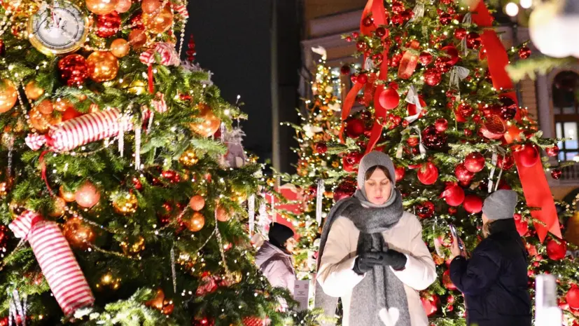 Депутат ГД Кривоносов: объём новогодних бронирований по стране вырос на 25%