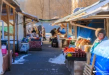 Приморье поддержит губернатора, он ужесточит штрафы за киоски primore podderzhit gubernatora on uzhestochit shtrafy za kioski-pux-su-0