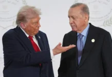 Трамп и Эрдоган приглашены в Совет мира по Газе tramp i erdogan priglasheny v sovet mira po gaze-pux-su-0