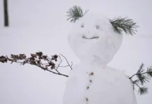 В Москве к Крещению ожидаются крепкие морозы и праздничная атмосфера v moskve k kreshheniyu ozhidayutsya krepkie morozy i prazdnichnaya atmosfera-pux-su-0