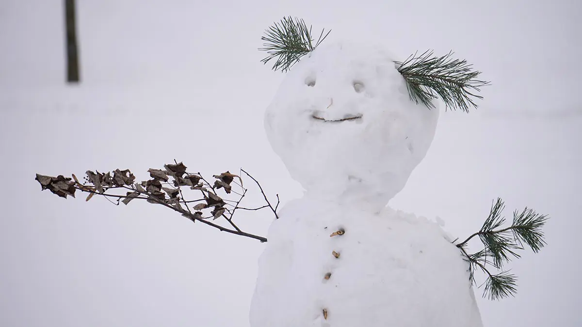 Погода в Москве на Крещение 2026 год