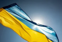 Всеволод Гребенщиков из МИД России: Украина и НАТО ведут к катастрофе! vsevolod grebenshhikov iz mid rossii ukraina i nato vedut k katastrofe-pux-su-0