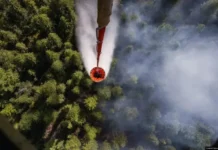 Денис Паслер инвестирует миллионы в защиту лесов Уральской авиабазы denis pasler investiruet milliony v zashhitu lesov uralskoj aviabazy-pux-su-0