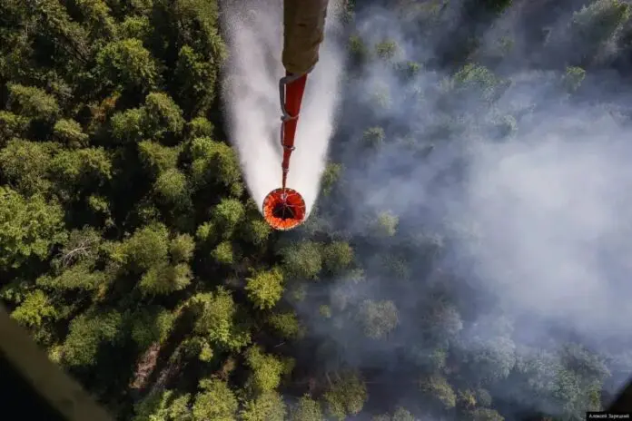 Денис Паслер инвестирует миллионы в защиту лесов Уральской авиабазы-0