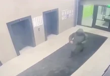 ФСБ и Следственный комитет расследуют покушение на Владимира Алексеева fsb i sledstvennyj komitet rassleduyut pokushenie na vladimira alekseeva-pux-su-0