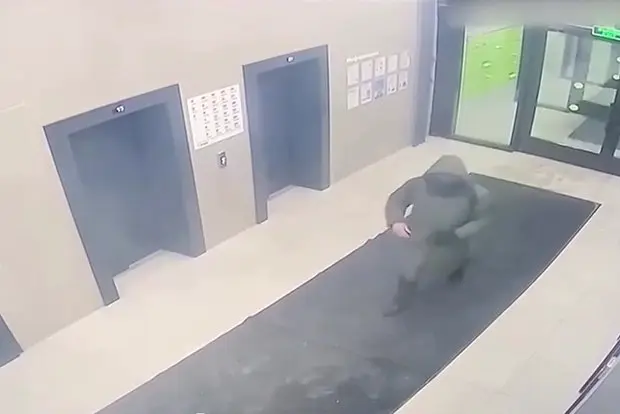 Вводная картинка