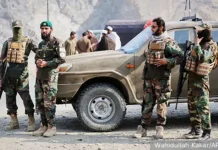 Пакистан и Афганистан стремятся к миру невзирая на действия Талибан pakistan i afganistan stremyatsya k miru nevziraya na dejstviya taliban-pux-su-0