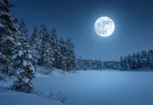 Полнолуние во Льве 2026: Снежная и Ледяная Луна и изменения в жизни polnolunie vo lve 2026 snezhnaya i ledyanaya luna i izmeneniya v zhizni-pux-su-0