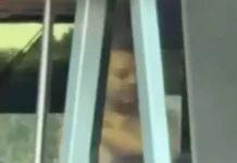 Universal Studios: турист удивил гостей необычным поведением turist udivil gostej neobychnym povedeniem-pux-su-0