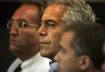 Wildberries защищает покупателей, Трамп о деле Эпштейна zashhishhaet pokupatelej tramp o dele epshtejna-pux-su-0