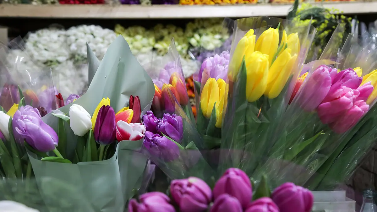 Цветочный магазин извинился перед мальчиком, которому не продали цветы для мамы