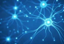 Институты Павлова РАН и Турнера возвращают надежду парализованным instituty pavlova ran i turnera vozvrashhayut nadezhdu paralizovannym-pux-su-0