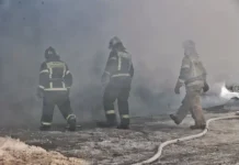 Ленинградская область под огнем ВСУ – атака вызвала крупный пожар leningradskaya oblast pod ognem vsu ataka vyzvala krupnyj pozhar-pux-su-0