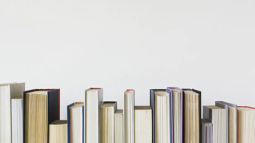 Нардеп Бужанский: на Украине умирает книжный бизнес из-за ограничений русского