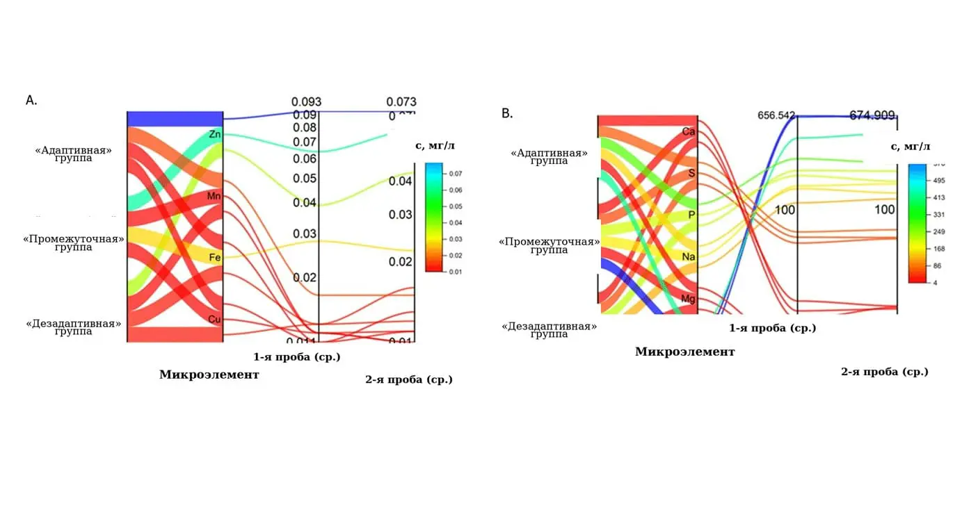 НИУ ВШЭ, ИВНД РАН: биомаркеры стресса найдены через умные часы-0