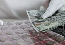 17965 i    1879 v dallase potryasli mir-pux-su-0