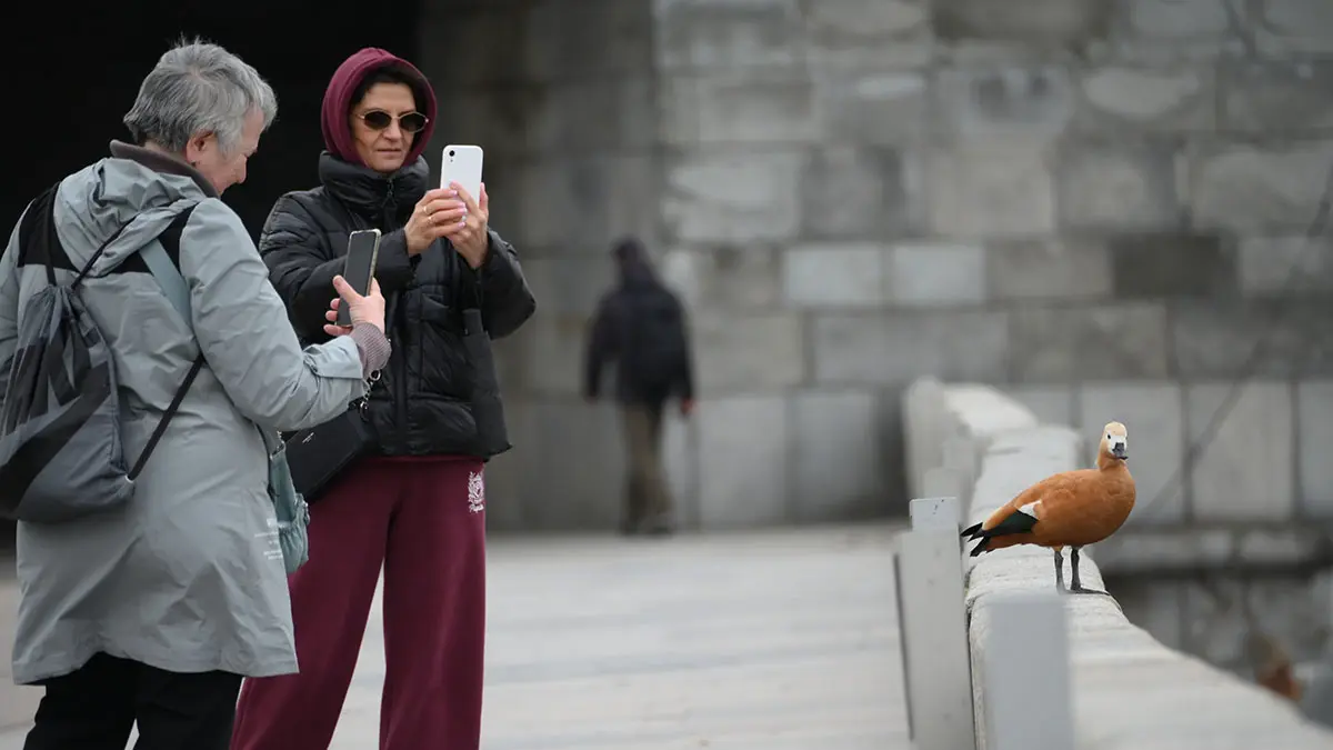 Погода в Москве с 27 апреля по 3 мая 2026 года