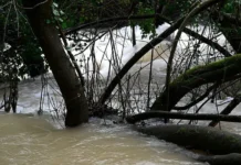 Гидрометцентр России отмечает положительную динамику паводка gidrometczentr rossii otmechaet polozhitelnuyu dinamiku pavodka-pux-su-0