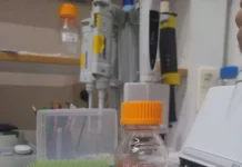 Институт Курнакова РАН и центр Гамалеи объединяют силы против гриппа А institut kurnakova ran i czentr gamalei obedinyayut sily protiv grippa a-pux-su-0