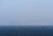 Медведев: Совбез РФ отметил значение Ормузского пролива для мира medvedev sovbez rf otmetil znachenie ormuzskogo proliva dlya mira-pux-su-0