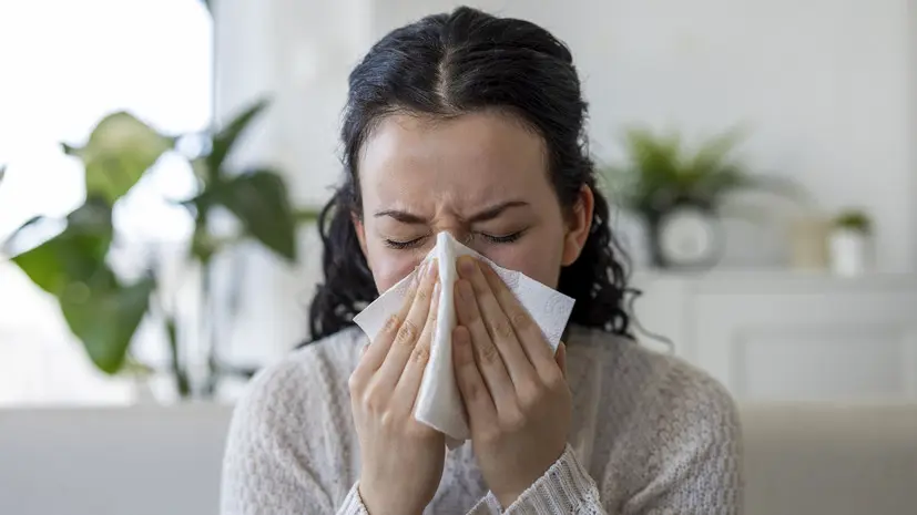 Россиян предупредили, когда сезонная аллергия может перейти в астму
