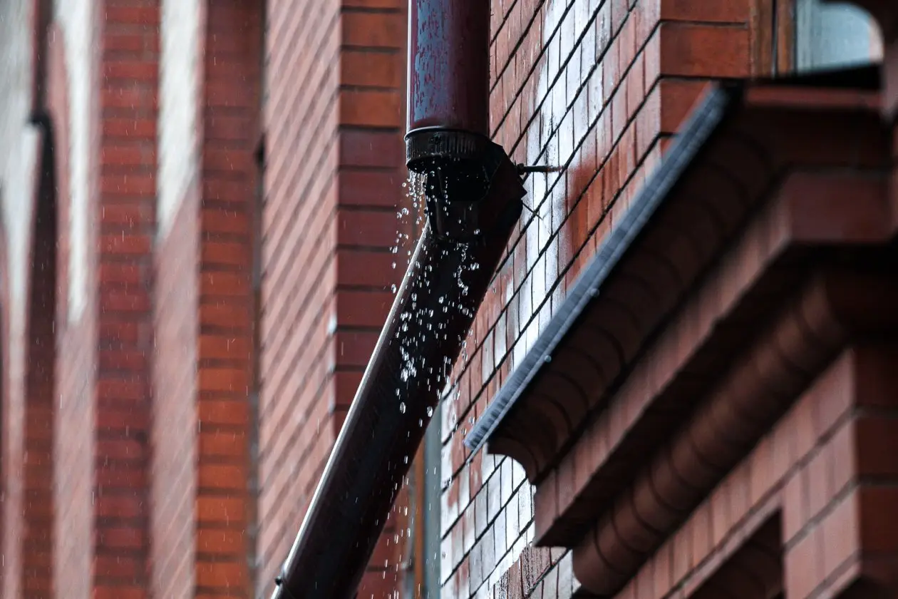 Фото: primamedia.ru