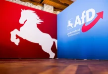 rejting adg vyros do rekordnyh 28 po dannym -pux-su-0