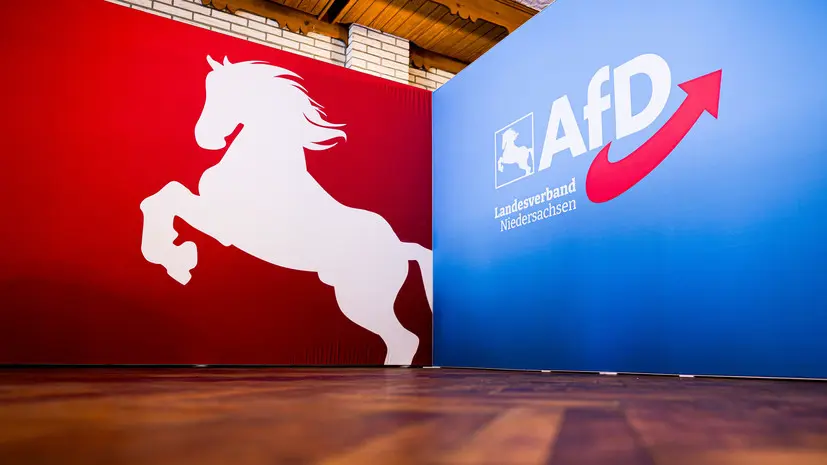 Bild: рейтинг АдГ достиг рекордных 28%