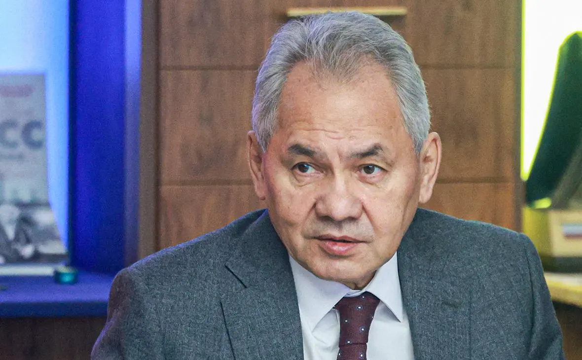 Сергей Шойгу (Александр Щербак / ТАСС)