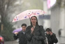 Татьяна Позднякова и Фобос о завершении дождей в Москве tatyana pozdnyakova i fobos o zavershenii dozhdej v moskve-pux-su-0