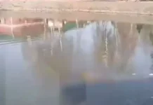 В Сергиевом Посаде и Подольске нашли мертвого мужчину, спасли дочь v sergievom posade i podolske nashli mertvogo muzhchinu spasli doch-pux-su-0