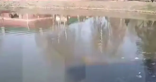 РЕН ТВ: Тело мужчины обнаружили в пруду в Сергиевом Посаде