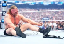 Завершение карьеры Брока Леснара: пик, бои и допинг zavershenie karery broka lesnara pik boi i doping-pux-su-0