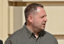 andrej ermak vyshel na svobodu  dramatichnye detali dela zelenskogo-pux-su-0